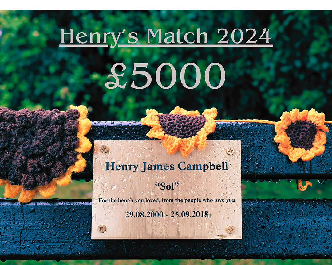 The Story Behind Henry S Match Harmless