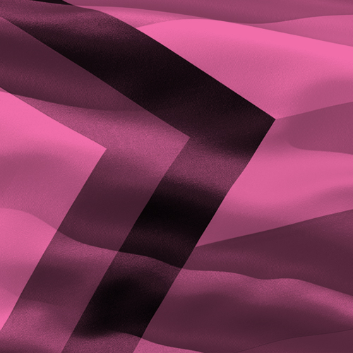 LGBTQIA+ flag rendered in pink.